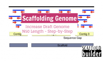 Scaffolding Genome: Increase Draft Genome N50 Length - Step-by-Step