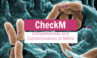 Step by Step: Completeness and Contamination of MAGs