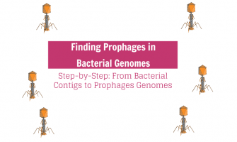 Step-by-Step: Finding Prophages in Bacterial Genomes