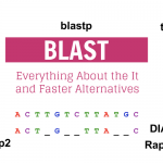Everything About the NCBI BLAST Aligner and Faster Alternatives