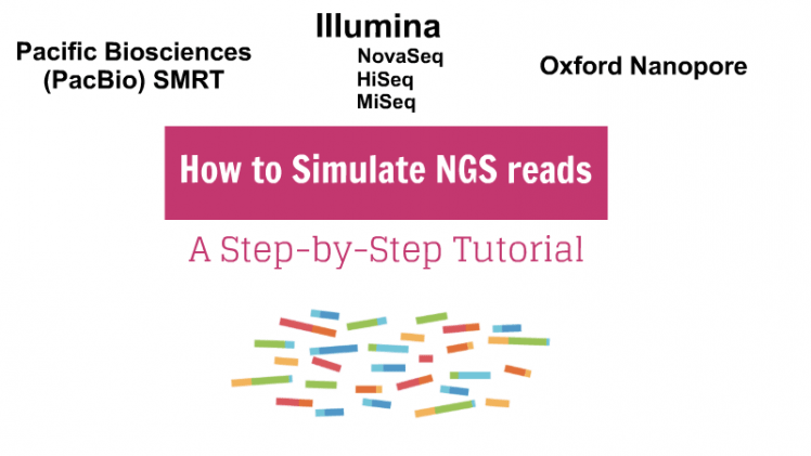 How to Simulate NGS reads - Step-by-Step