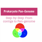 Prokaryote Pan Genome - Step-by-Step