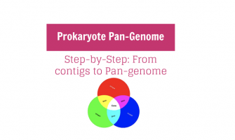 Prokaryote Pan Genome - Step-by-Step