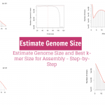 Estimate Genome Size and Best k-mer Size for Assembly - Step-by-Step