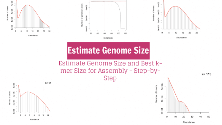 Estimate Genome Size and Best k-mer Size for Assembly - Step-by-Step