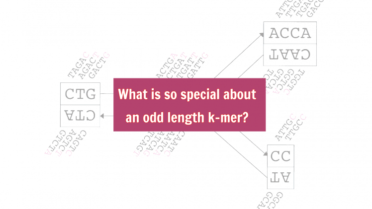 What is so special about an odd length k-mer?